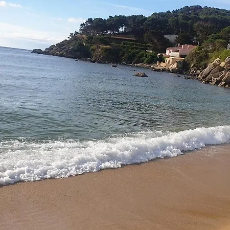 Con Jardín A 11 Metros De La Playa. Cg. Apartamento