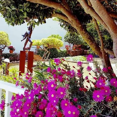 Apartamento Con Jardín A 11 Metros De La Playa. Cg.