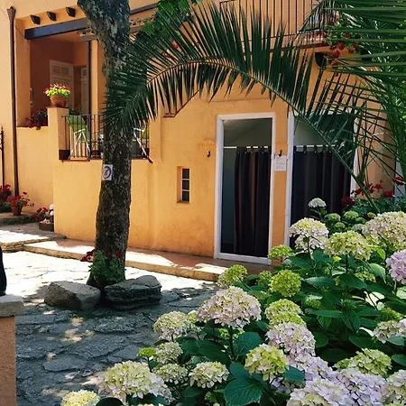 Apartamento Con Jardín A 11 Metros De La Playa. Cg.