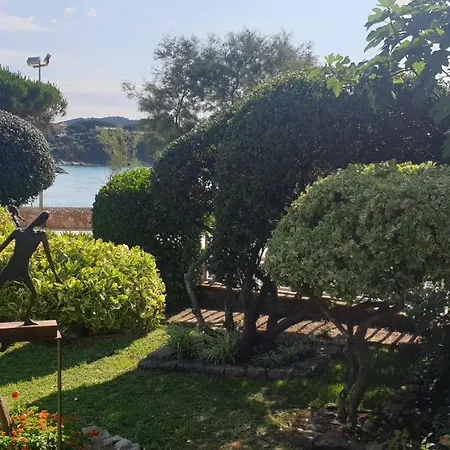 Apartamento Con Jardín A 11 Metros De La Playa. Cg.